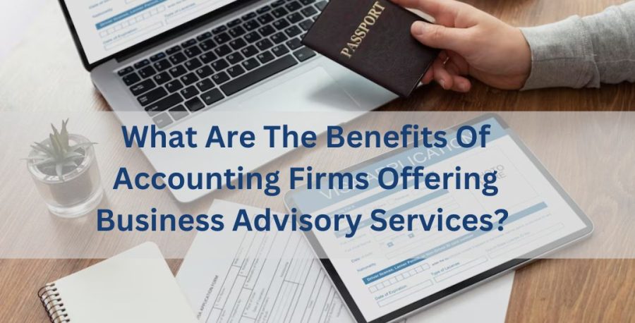 Accounting Services Archives - Accountrix